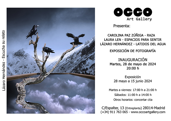 PHotoESPAÑA 2024 - LAZARO HERNÁNDEZ OCCO Art Gallery es una galería de arte, situada en Madrid, cuyo objetivo es difundir el arte en España e internacionalmente