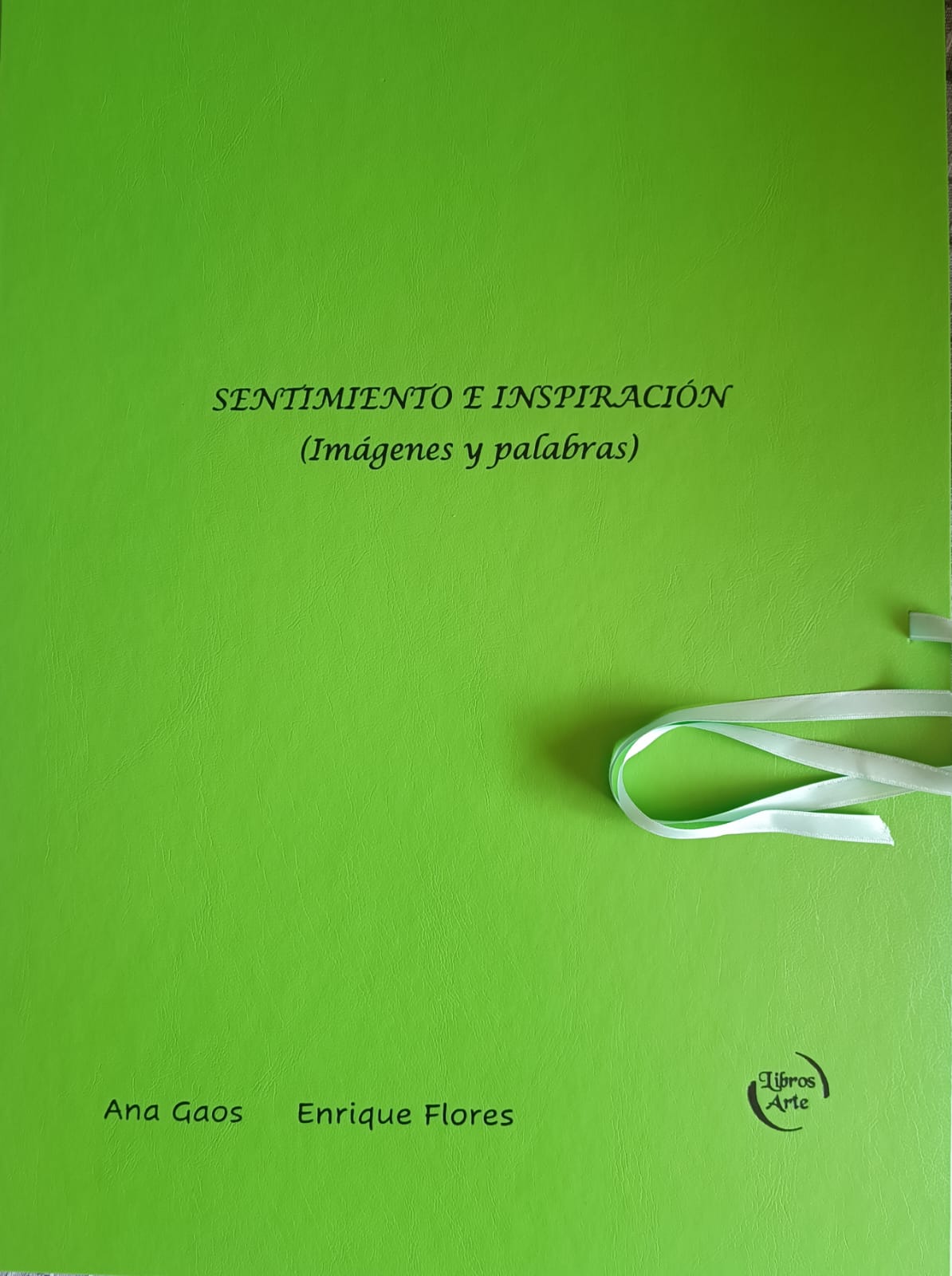 Carpeta de artista SENTIMIENTO E INSPIRACIÓN Daphne Anastassiou, exposición de pintura y escultura