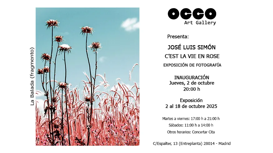 José Luis Simón, exposición C’EST LA VIE EN ROSE
